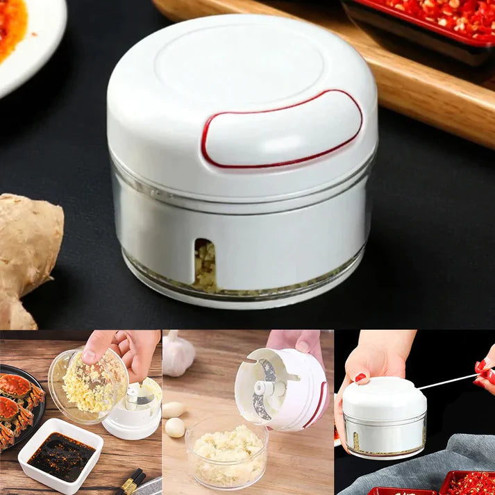 Quick Mini ChopperQuick Mini Chopper